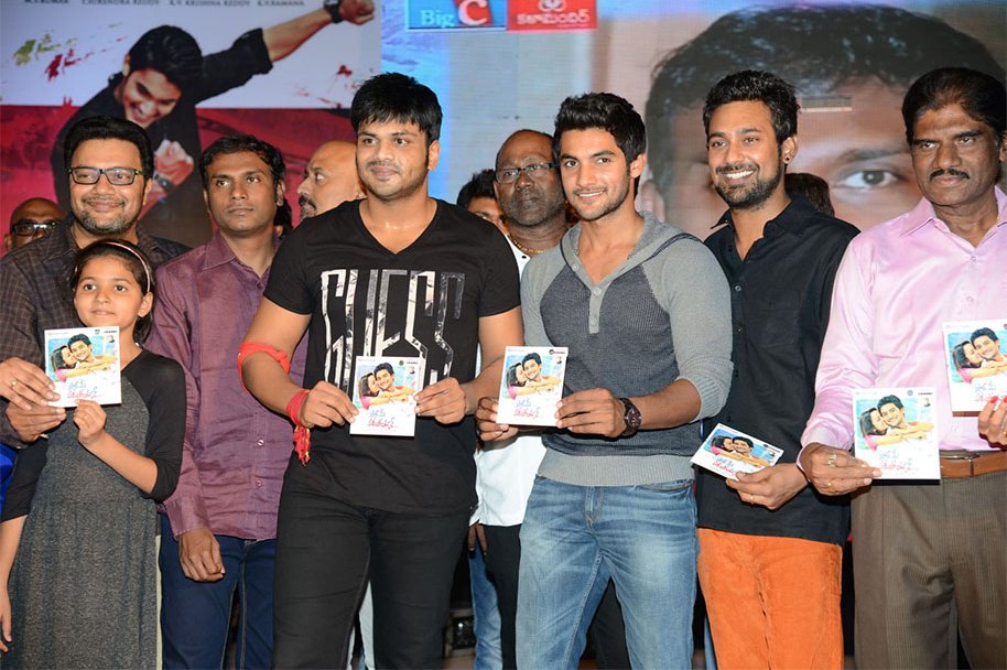 Pyaar-Mein-Padipoyane-Audio-Launch